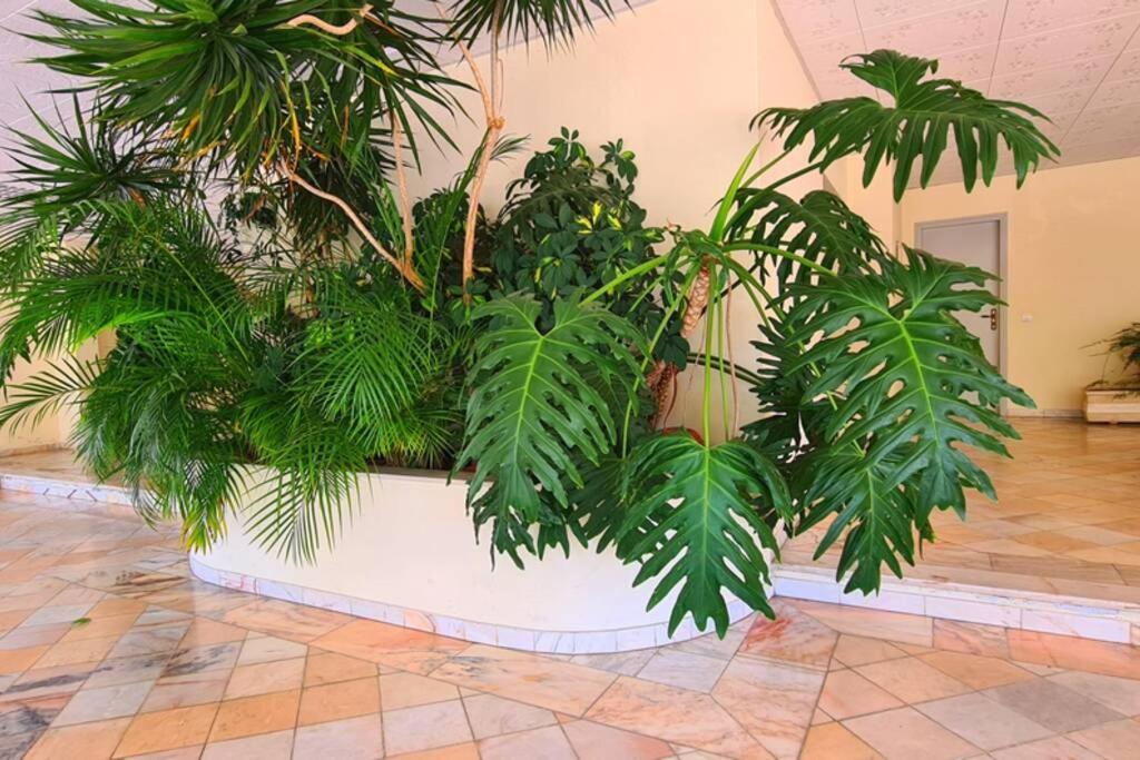 Comfort Zone Beach Apartment 奎特里拉 外观 照片